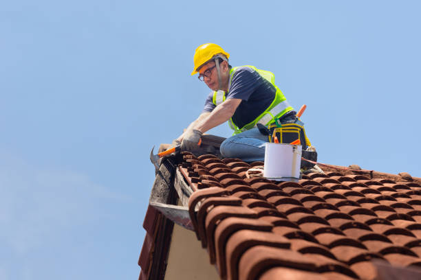 Best Roof Coating and Sealing  in Neoga, IL